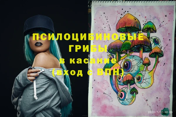 бошки Гусиноозёрск
