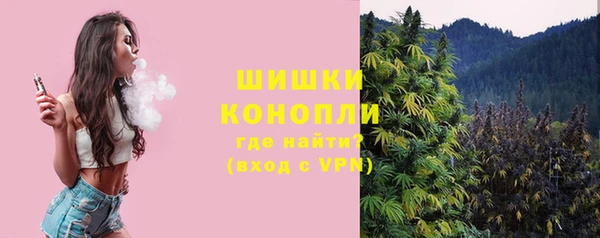 бошки Гусиноозёрск