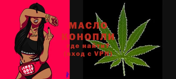 мдпв Гусь-Хрустальный