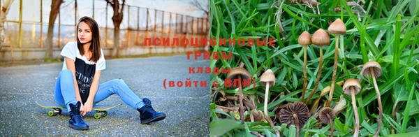 бошки Гусиноозёрск
