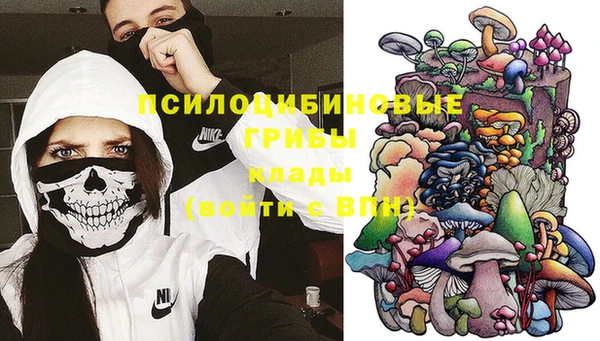 мдпв Гусь-Хрустальный