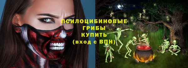 мдпв Гусь-Хрустальный