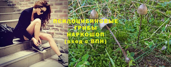 бошки Гусиноозёрск