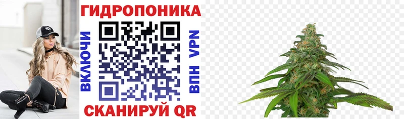 Бошки Шишки конопля  Балашиха 